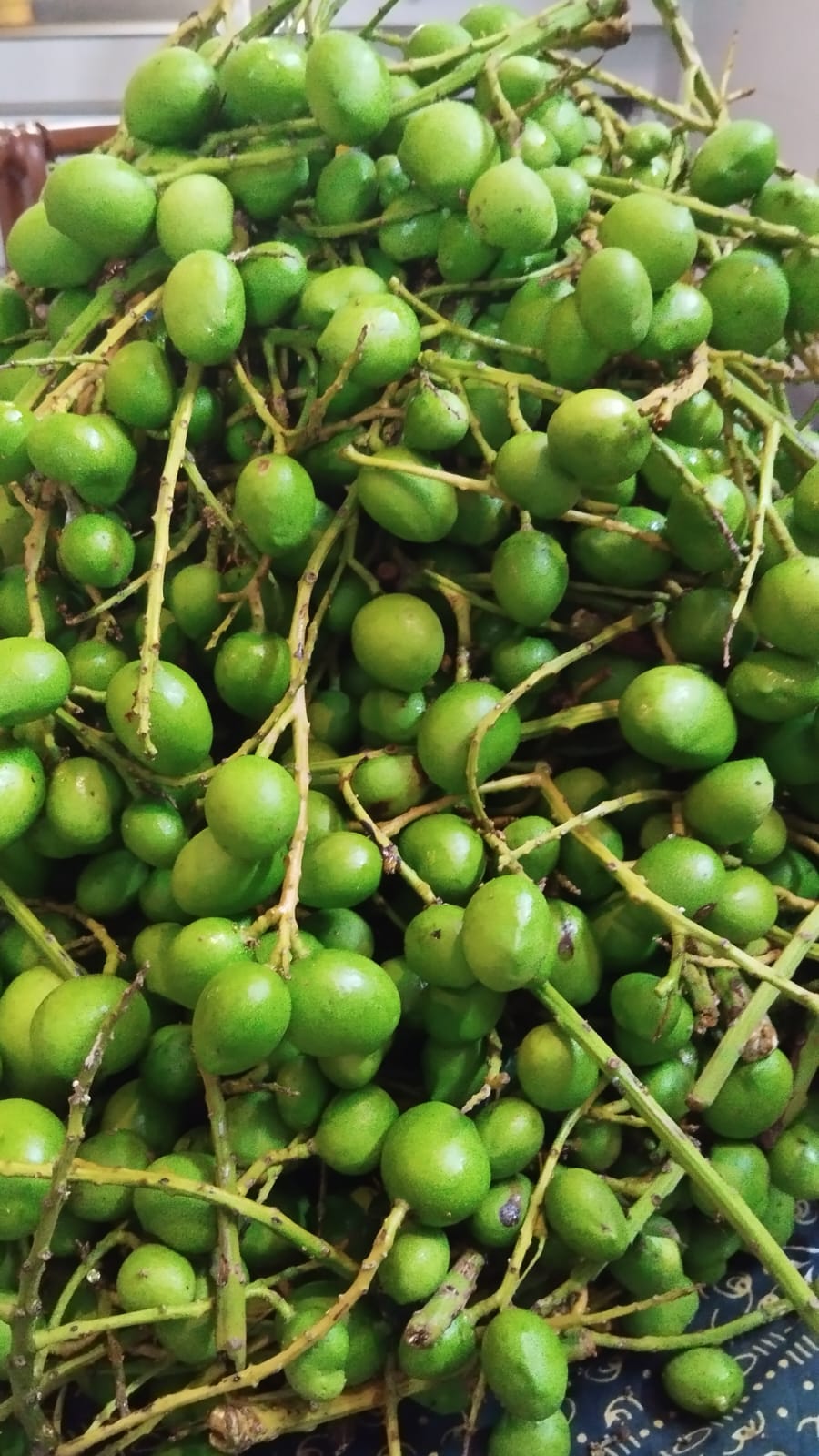 Fresh mangos selected for homemade pickle preparation